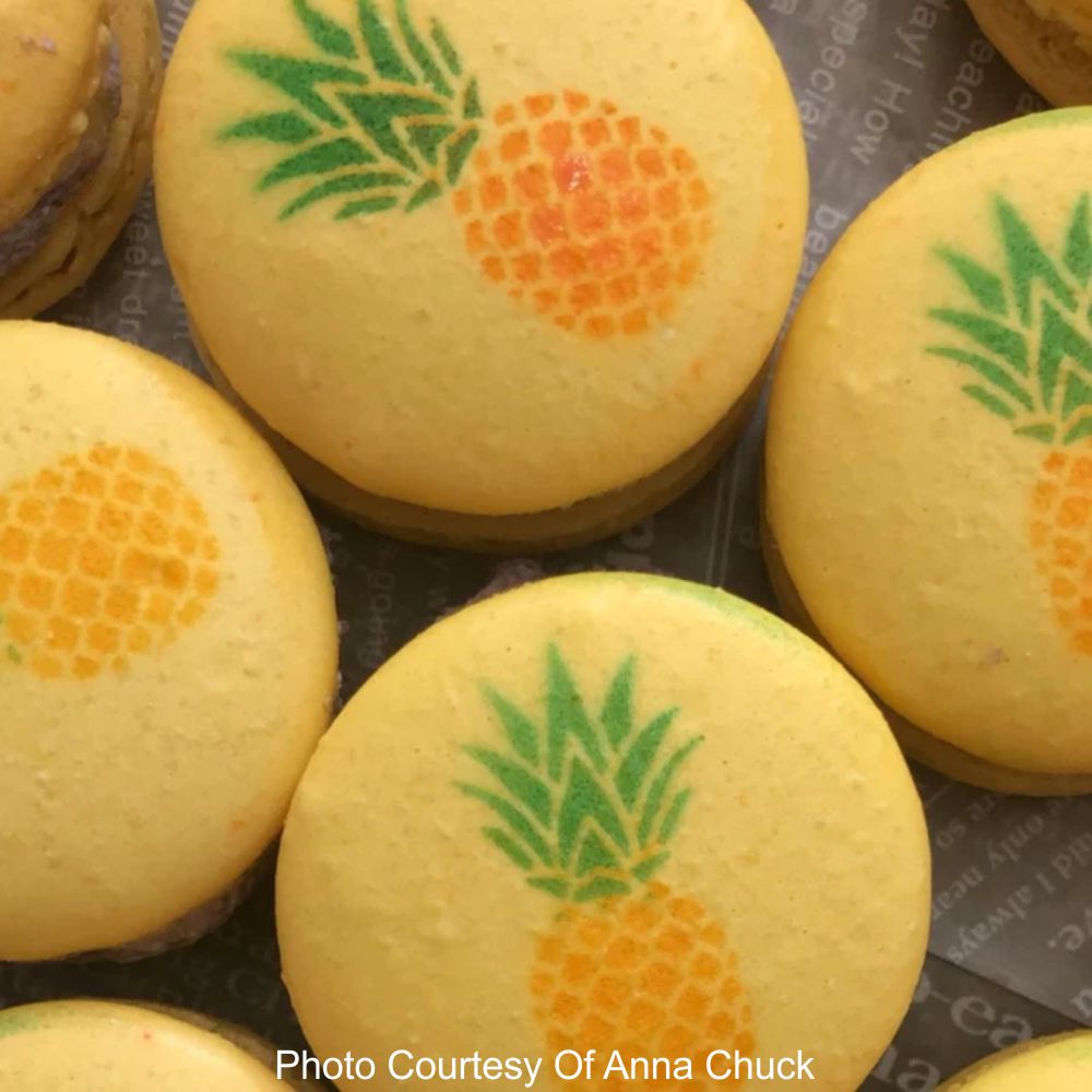 Pineapple Paradise Round Cookie Stencil 3 Pc Set