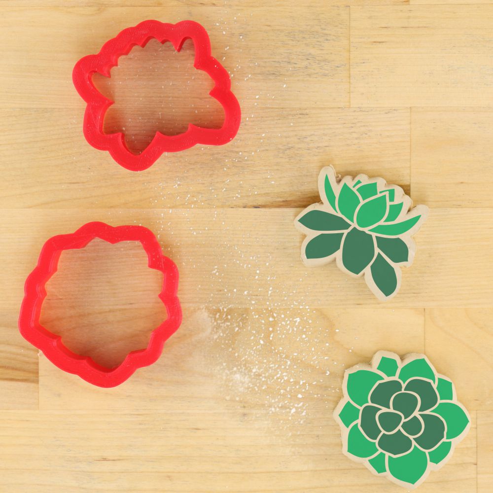 succulent cutters Succulents Stencil for Cookies
