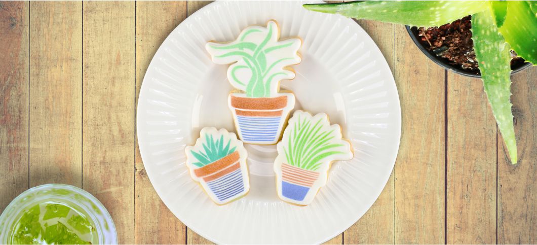 Cookie Class: Make and Decorate House Plant Sugar Cookies!