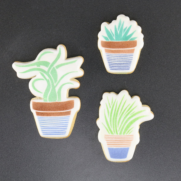 Potted Aloe Cookie Stencil
