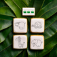 Animal Safari Paint Your Own Cookie Stencil Kit