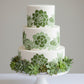 White tiered cake with succulent design on all sides.