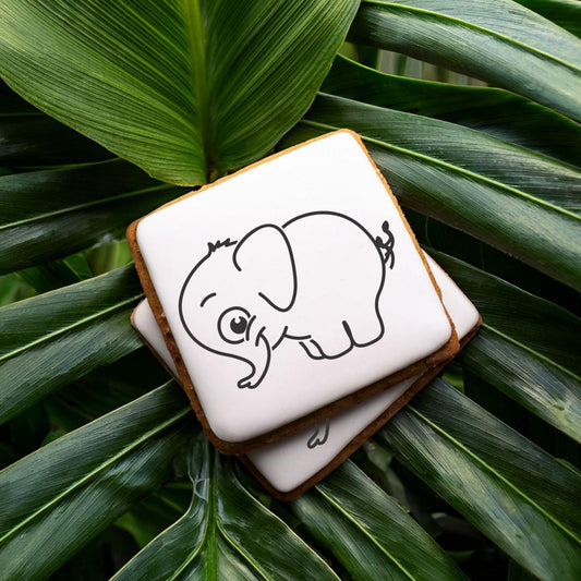 Elephant Paint Your Own Cookie Stencil