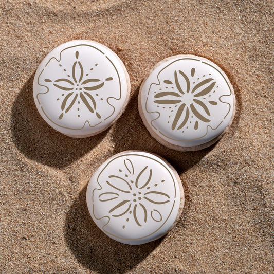 Sand Dollar Round Cookie Stencil 3 Pc Set