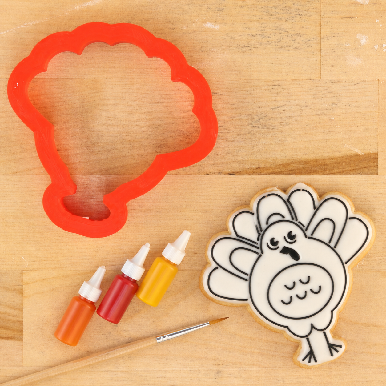 Turkey Paint Your Own Cookie Stencil