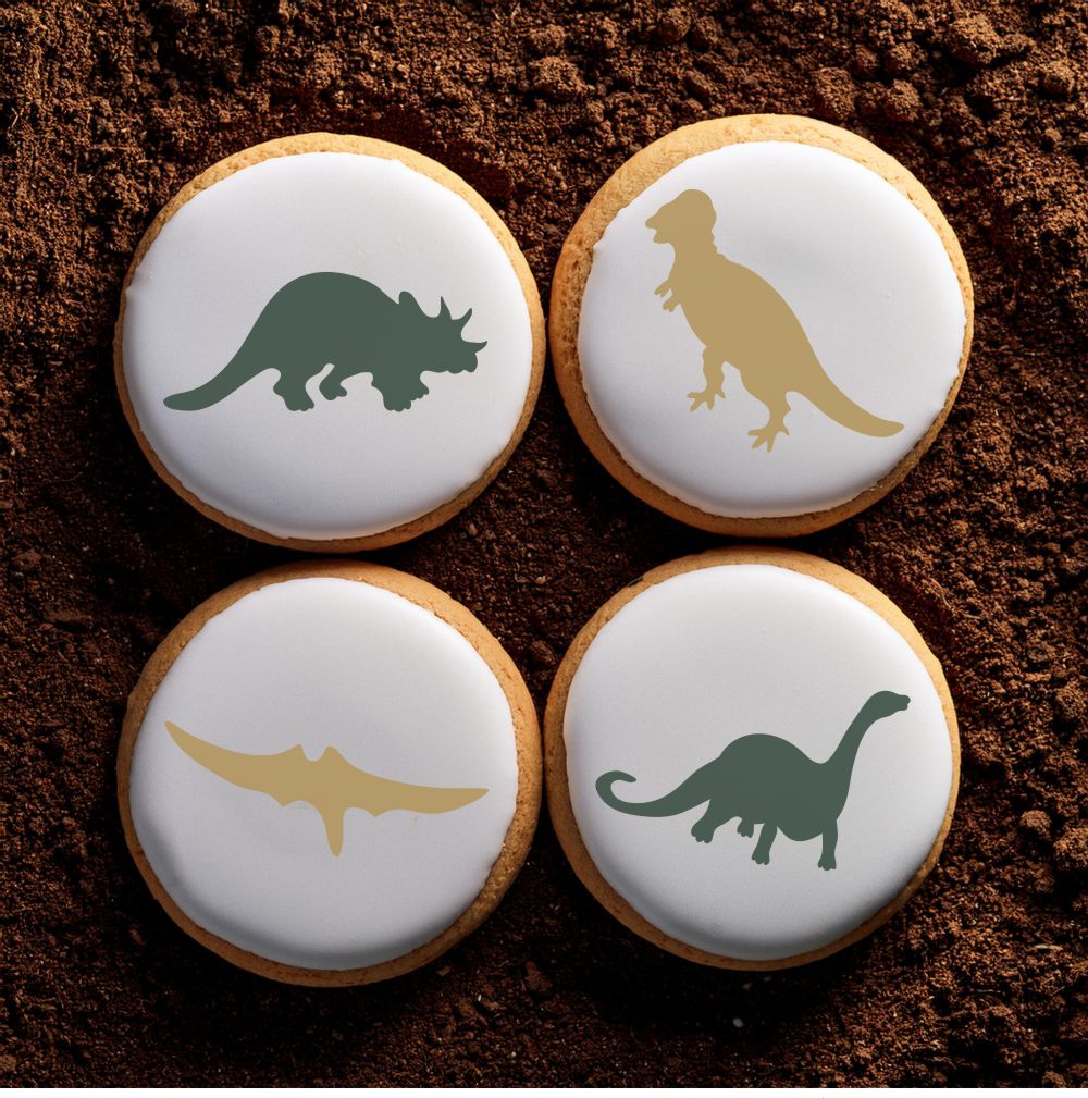 Dinosaur Round Cookie Stencil Set by Designer Stencils