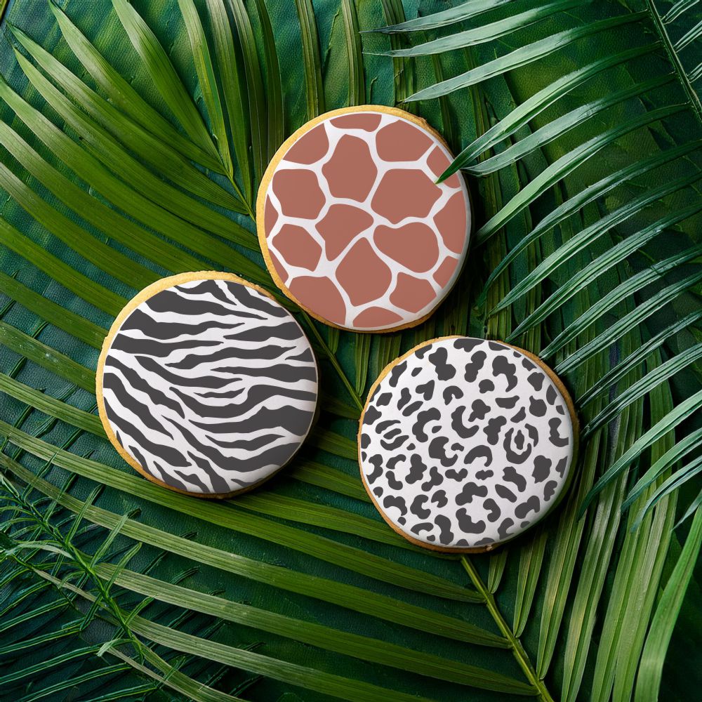 Animal Skins Round Cookie Stencil Set by Designer Stencils